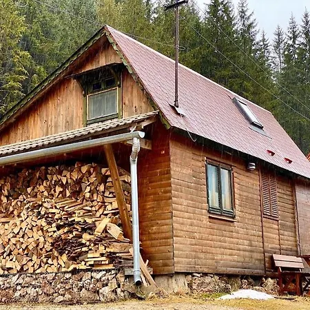 Mountain View Tiny House * Lacu Rosu