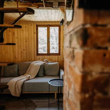 Chalet Mountain View Tiny House Lacu Rosu