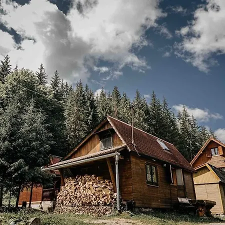 Chalet Mountain View Tiny House Lacu Rosu